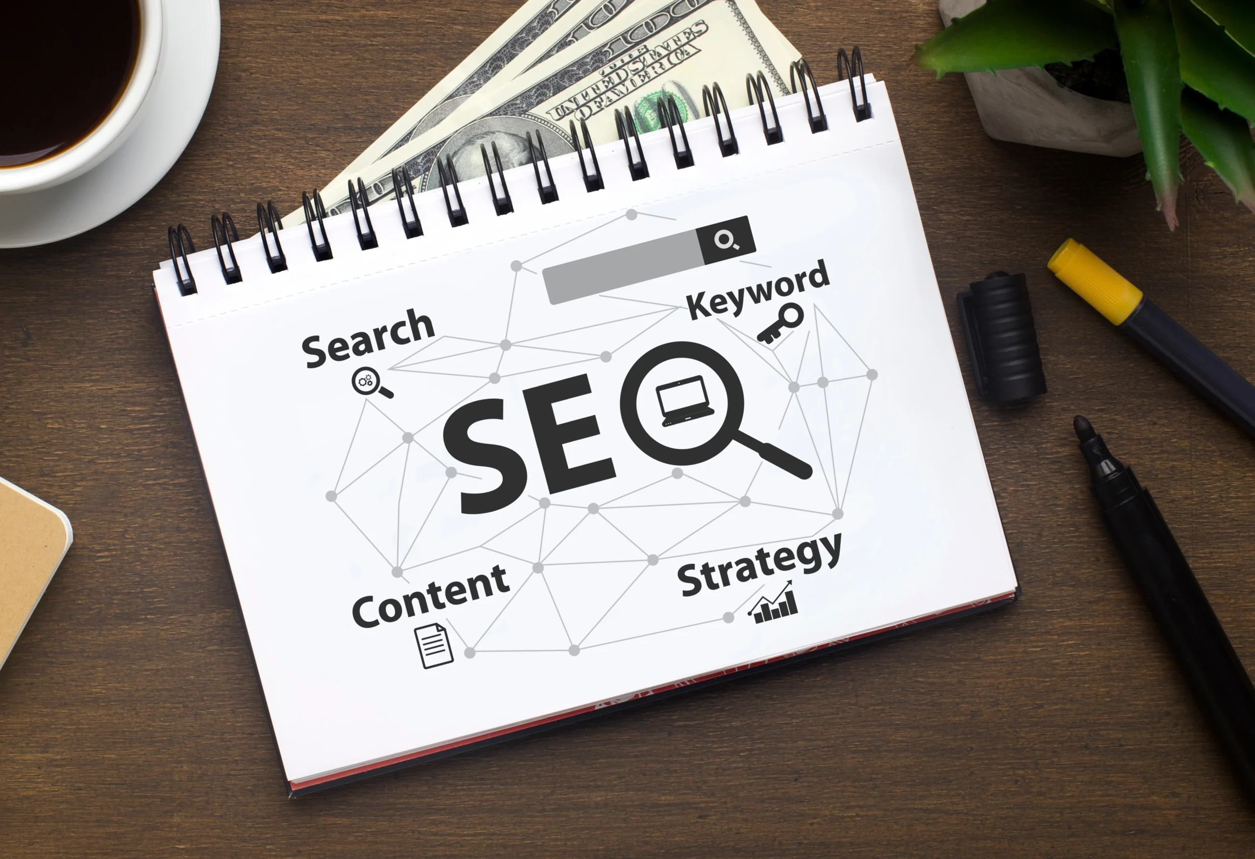 Mir Ullash - SEO Service
